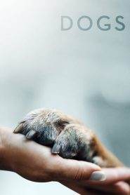 Dogs 1