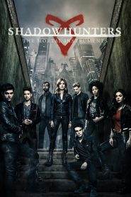 Shadowhunters 3