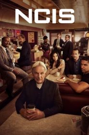 NCIS – Unità anticrimine 19