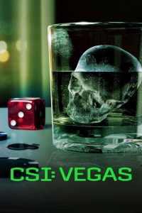 CSI: Vegas 3